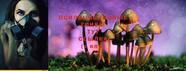 герыч Коряжма