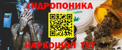 а пвп мука Ачхой-Мартан