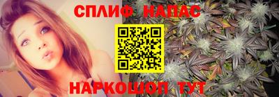 а пвп мука Ачхой-Мартан