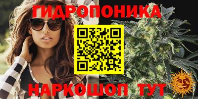 а пвп мука Ачхой-Мартан