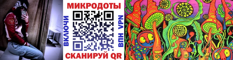 Галлюциногенные грибы Psilocybe Усть-Кут