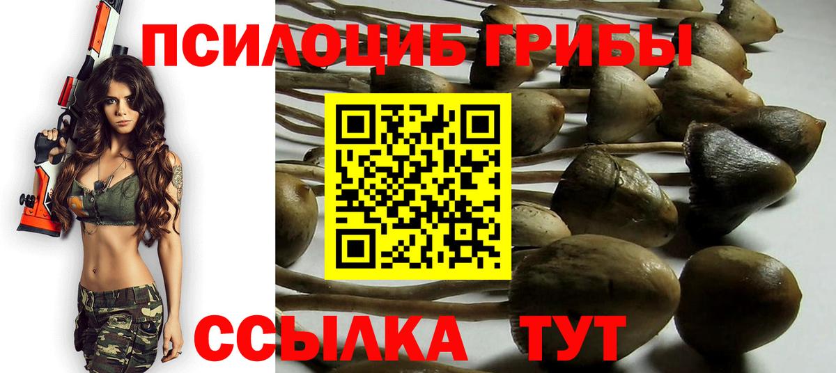 Псилоцибиновые грибы Psilocybine cubensis  Усть-Кут 