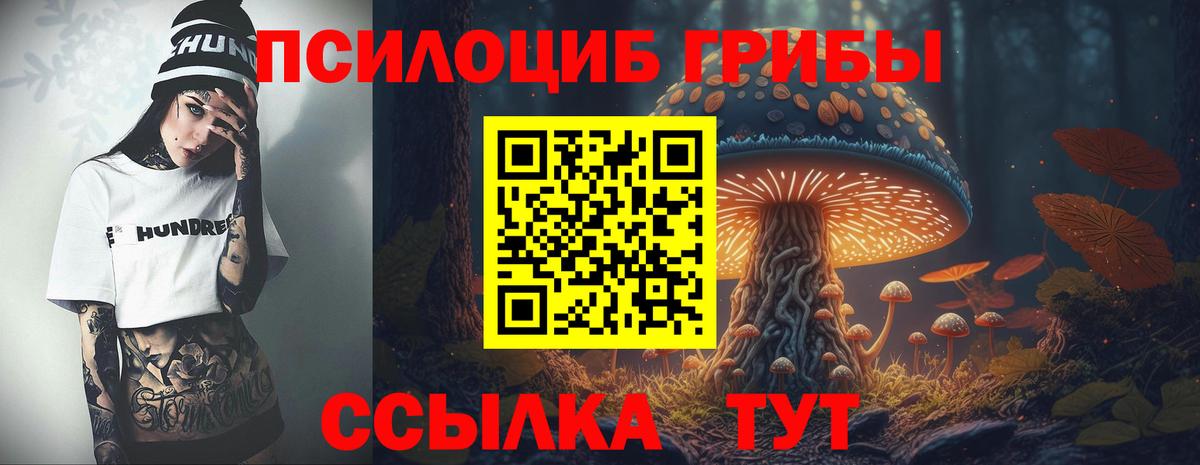Псилоцибиновые грибы прущие грибы  Вход с VPN  Усть-Кут 